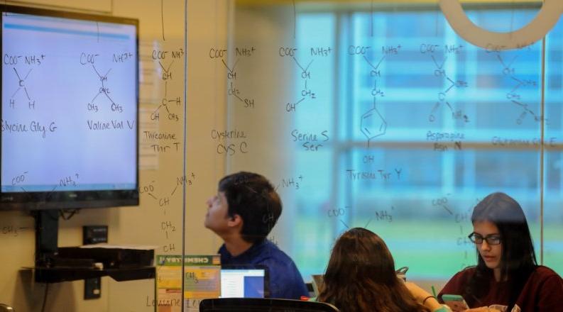 Students studying in Perry Library