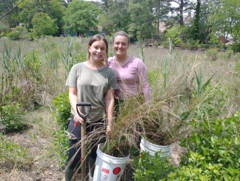 Biological Sciences grad students marsh